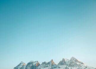 Sporting CP Vs Amarante FC Lineups: Who Will Dominate The Pitch?