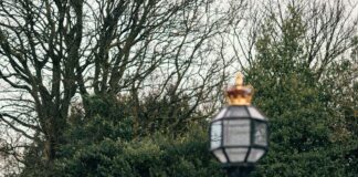 Car Rental Companies In Edinburgh Scotland: Which Offers Best Deals?