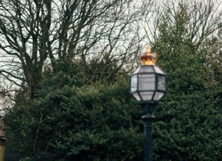 Car Rental Companies In Edinburgh Scotland: Which Offers Best Deals?