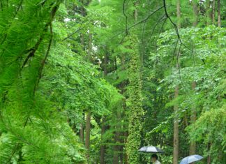 Walk Of Leith Edinburgh: Discover Hidden Gems On This Scenic Stroll