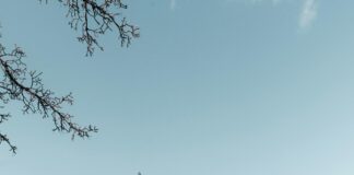 Best Time To Visit Edinburgh: Discover When To Experience Magic