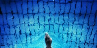 Rb Leipzig Vs Sporting Cp Standings: Who Dominates The Table Now?