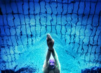 Rb Leipzig Vs Sporting Cp Standings: Who Dominates The Table Now?