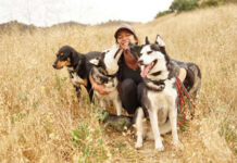 Promoting Canine Health and Comfort in Edinburgh: Expert Advice for Dog Owners dog bed, dog beds, large dog beds, best dog beds, outdoor dog beds, orthopedic dog beds, chew proof dog bed, raised dog bed, cooling dog bed