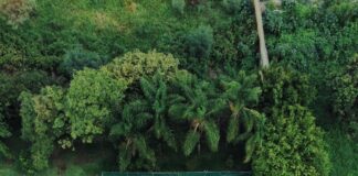 Ashwells Sports And Country Club: Discover Your Perfect Retreat