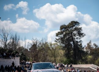 The Dub Queen’s Sport: Discover the Thrills of This Unique Passion