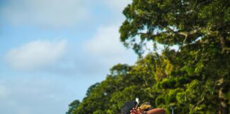 Surrey Sports Park: Discover Exciting Activities in Guildford