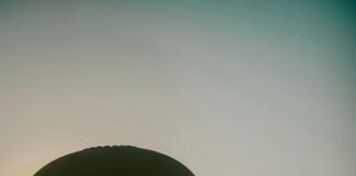 Opening Hours of JD Sports: Discover When You Can Shop!