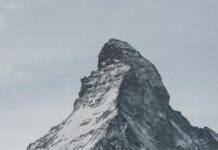 Sporting CP Vs LOSC Lille Lineups: Who Will Dominate the Match?