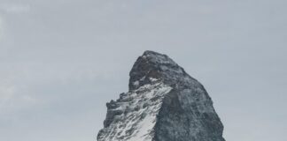 Sporting CP Vs LOSC Lille Lineups: Who Will Dominate the Match?