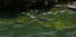 John Charles Centre For Sport Leeds: Discover Exciting Activities