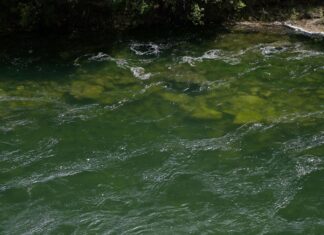 John Charles Centre For Sport Leeds: Discover Exciting Activities