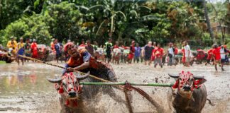 Moorways Sports Village: Discover Derby’s Exciting Water Park!