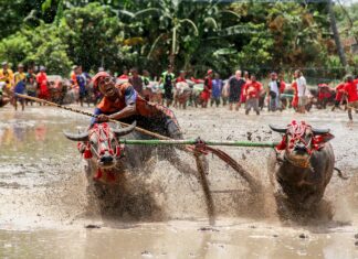 Moorways Sports Village: Discover Derby’s Exciting Water Park!