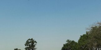 Sports Career of Ally McCoist: Discover His Remarkable Journey