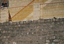 David Ross Sports Village Nottingham: Discover Ultimate Sports Experience