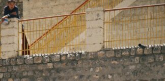 David Ross Sports Village Nottingham: Discover Ultimate Sports Experience