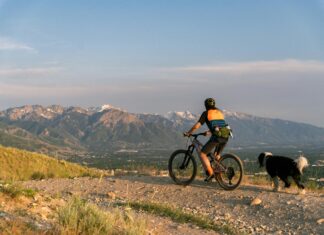 Salt Ayre Sports Centre Morecambe: Discover Your Ultimate Fitness Oasis