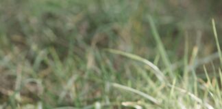 Blackpool Sports Centre Moor Park: Discover Your Ultimate Fitness Hub