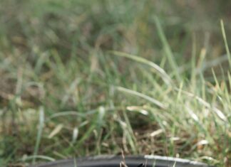 Blackpool Sports Centre Moor Park: Discover Your Ultimate Fitness Hub