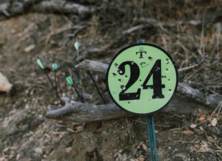 St Paul’s Sports Ground: Discover The Best Activities Awaiting You