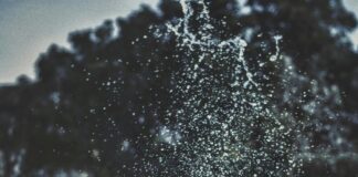 Anfield Sports and Community Centre: Discover Your Local Hub