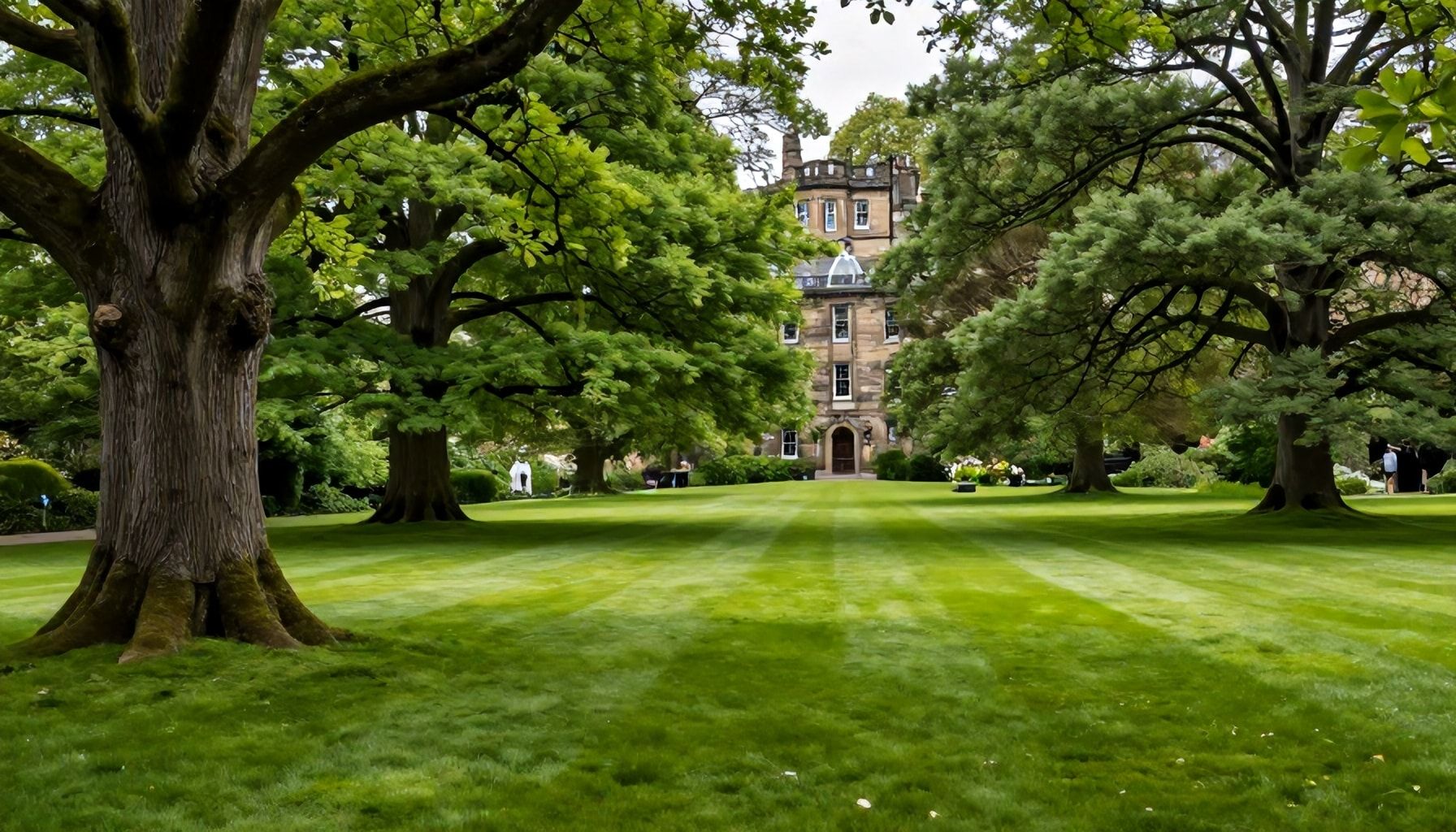 Discover the Secret Beauty of Pitcairn Grove: Edinburgh’s Best-Kept Green Secret*